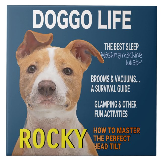 Carreau Couverture du magazine Pitbull Parody (Devant)