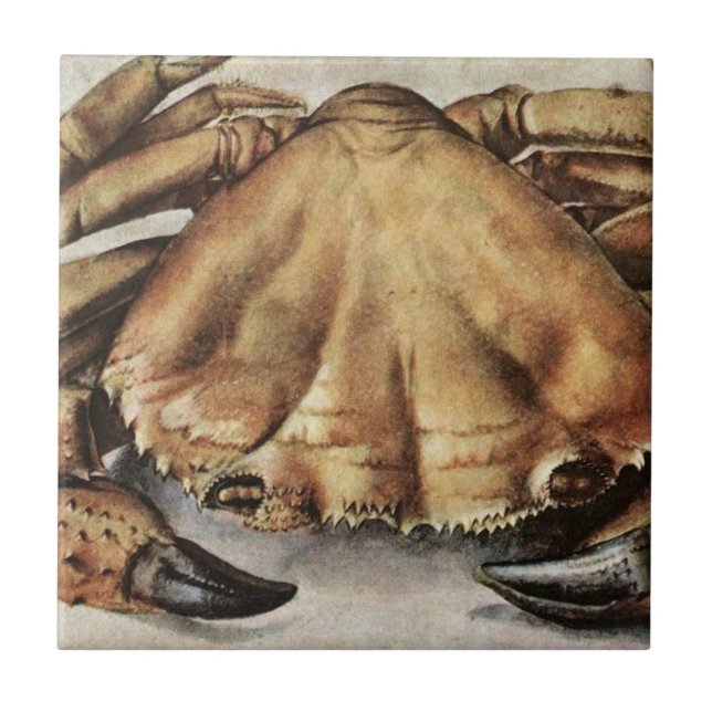 Carreau Crab (Creature Under the Sea) (by Albrecht Durer) (Devant)