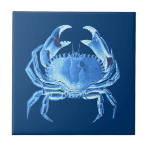 Carreau Crab Sea Life Imprimer, Indigo Blue and White