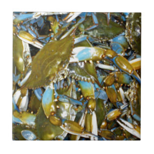 Carreau crabe bleu
