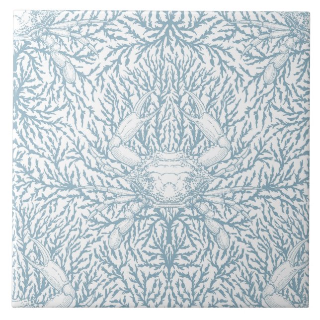 Carreau Crabe et mauvaises herbes marines, été côtier en b (Devant)