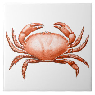 Carreau Crabe rouge vintage Faune marine et fruits de mer