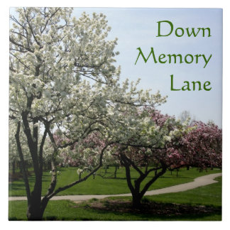 Carreau Crabes pommiers