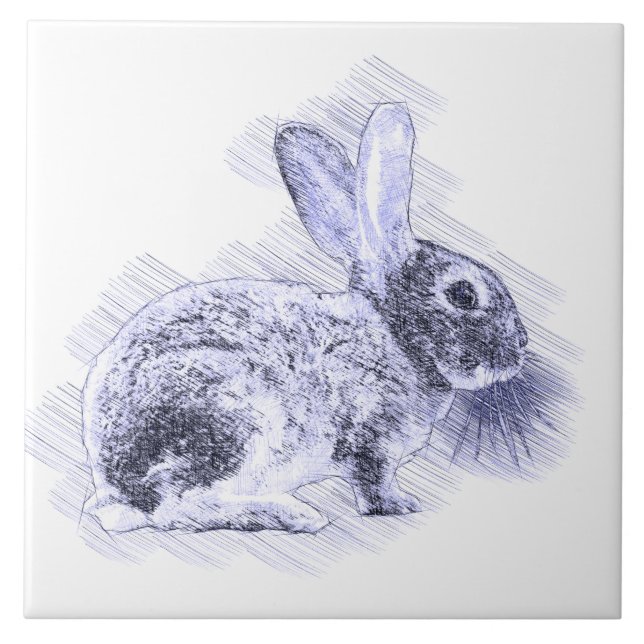 Carreau Crayon de lapin Vintage bleu (Devant)