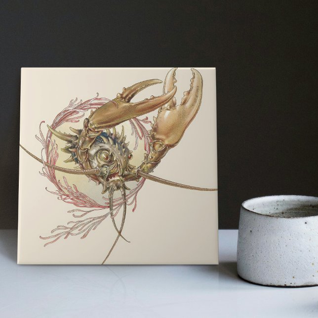 Carreau Créature fantastique Enchantant Art Nouveau Seder (Créateur téléchargé)