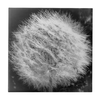 Carreau Créer une mosaïque