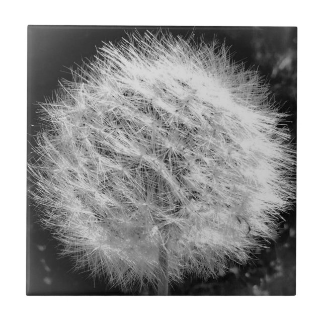 Carreau Créer une mosaïque (Devant)