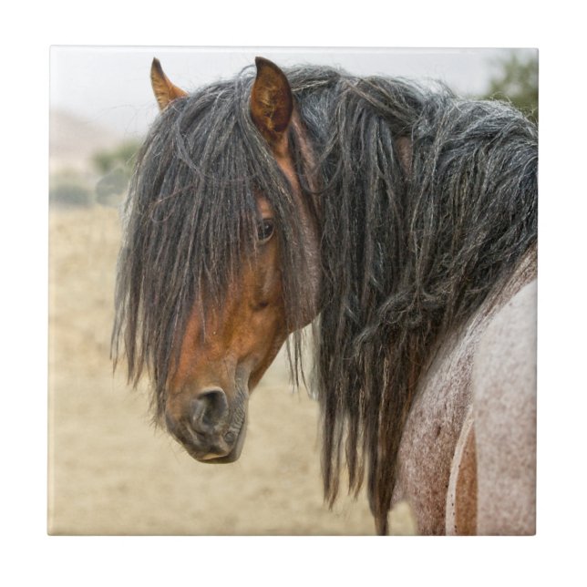 Carreau Crinière de cheval (Devant)