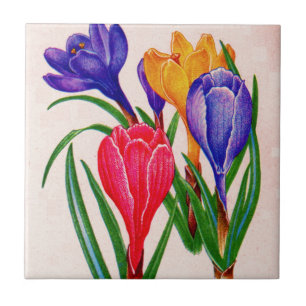 Carreau crocus