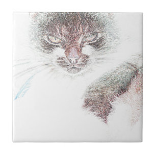 Carreau Croquis de la face de cate en colère