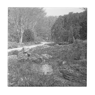 Carreau Croquis de nature blanche et noire