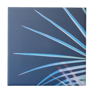 Carreau Croquis minimalisme Feuille Palm Tree