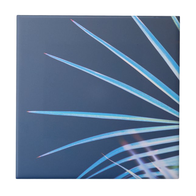 Carreau Croquis minimalisme Feuille Palm Tree (Devant)