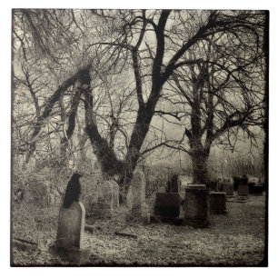 Carreau Crow d'Eve de All Hallow