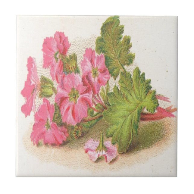 Carreau Cru, fleurs roses, feuille vert, (Devant)