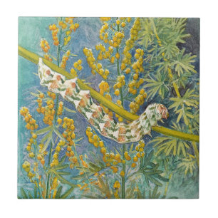 Carreau Cucullia Absinthii Wormwood