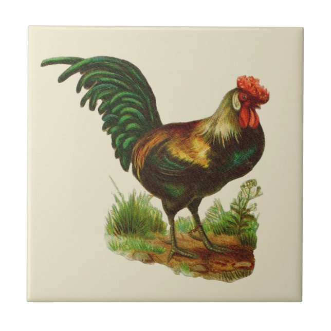 Carreau Cuisine de campagne au coq (Devant)