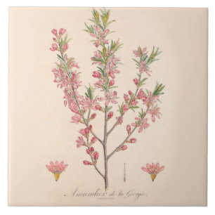 Carreau Cuisine en mosaïque en céramique imprimée en fl