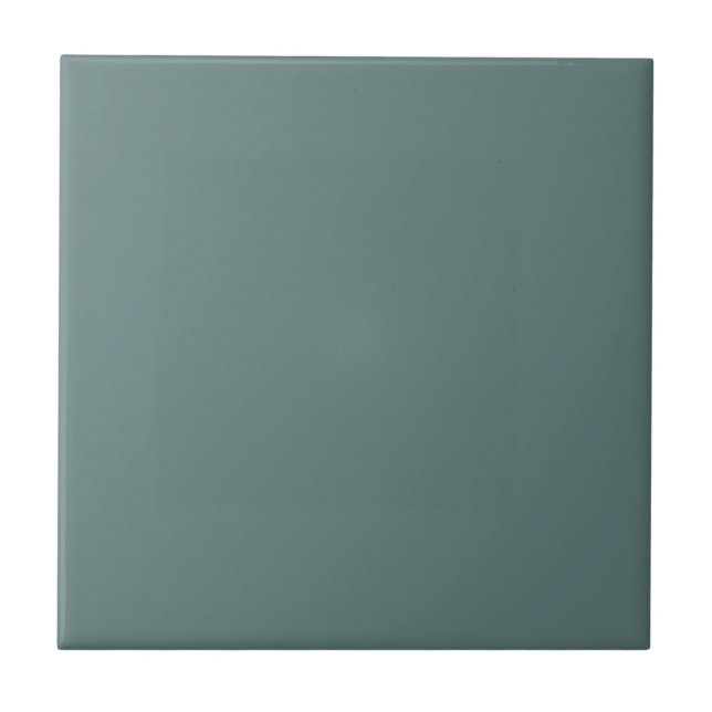 Carreau Cuisine et salle de bain Turquoise foncé (Devant)