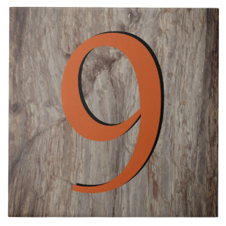 Carreau Cuivre Numéro de la maison Tuile 9 sur pierre gris