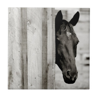 Carreau Curieux Cheval noir