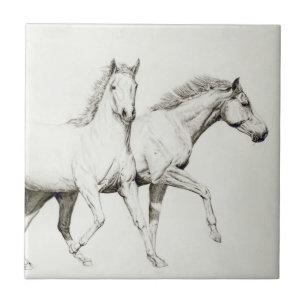 Carreau Customisez un cheval