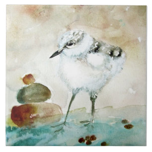 Carreau Cute Baby Plover Céramique Carrelage de cuisine
