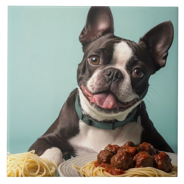 Carreau Cute Boston Terrier Avec Spaghetti Bolognaise (Devant)