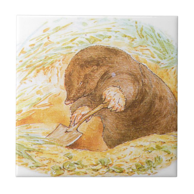 Carreau Cute Mole (Animal Art for Kids) (Beatrix Potter) (Devant)