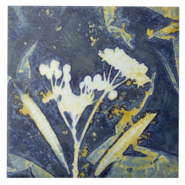 Carreau Cyanotype botanique floral élégant (Devant)
