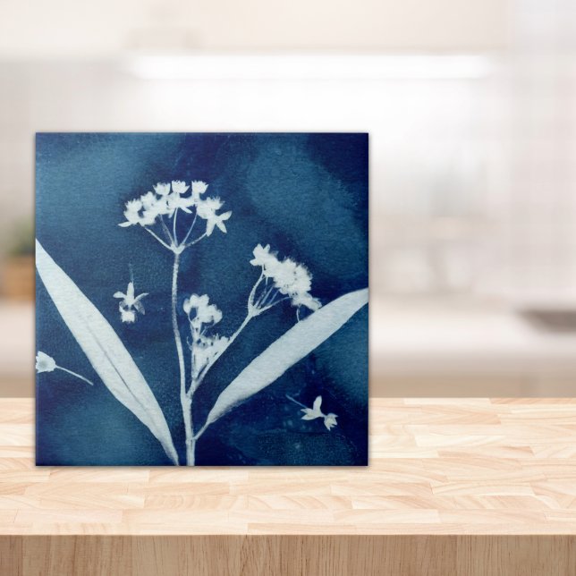 Carreau Cyanotype élégant de l'asclépiade à fleurs (Créateur téléchargé)