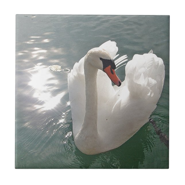 Carreau Cygne blanc romantique (Devant)