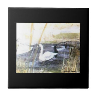 Carreau Cygne paisible. . .