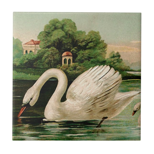 Carreau Cygne vintage dans le lac (Devant)