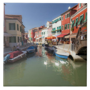 Carreau Cygnes dans un canal, île de Burano, Venise, Itali