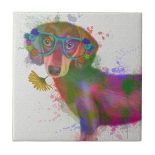 Carreau Dachshund & Lunettes Rainbow Splash