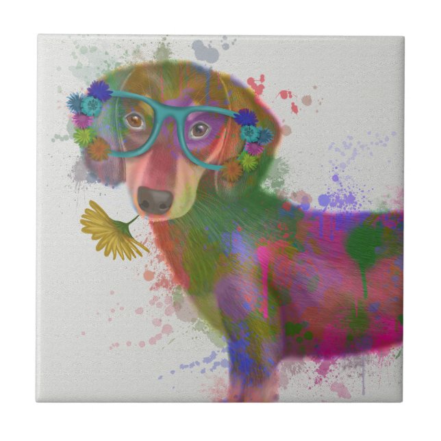 Carreau Dachshund & Lunettes Rainbow Splash (Devant)