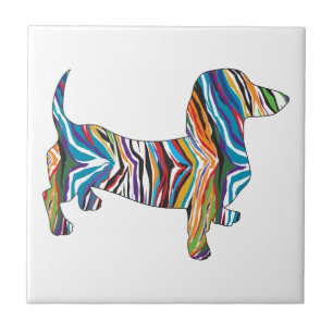 Carreau Dachshund - Psychedelic Zbra Doxie