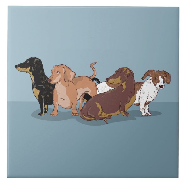 Carreau Dachshunds (Devant)
