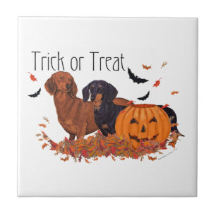 Carreau Dachshunds Halloween