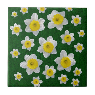 Carreau Daffodiques de printemps