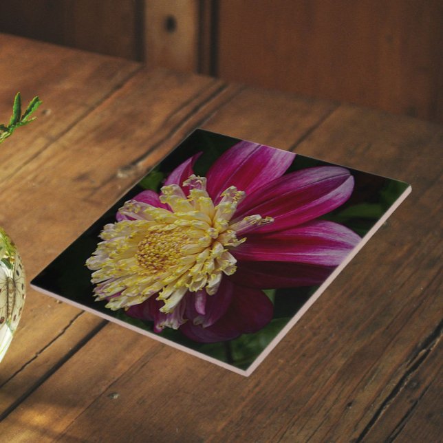 Carreau Dahlia Anémone Rose Floral (In Situ)