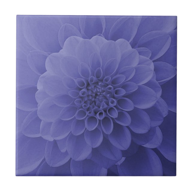Carreau Dahlia bleu (Devant)