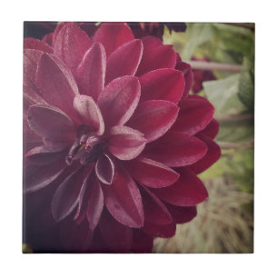 Carreau Dahlia de tuile de Flora