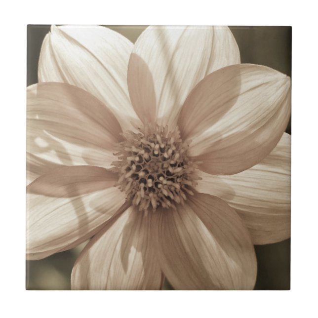 Carreau Dahlia ensoleillé (Devant)