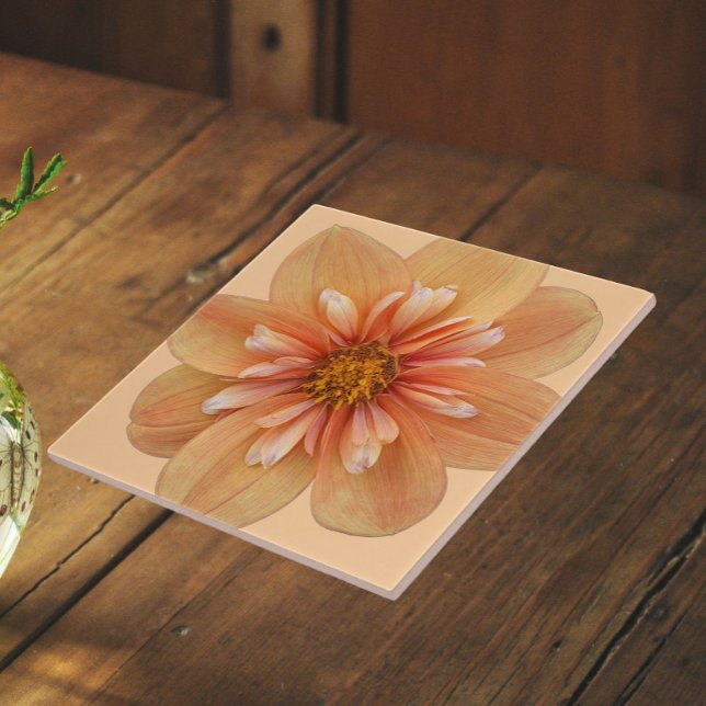 Carreau Dahlia Floral Collerette Orange (In Situ)