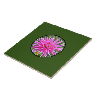 Carreau Dahlia rose