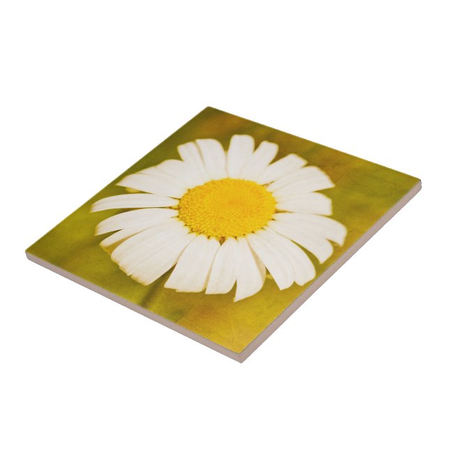 Carreau daisy et l'été solitaire (Côté)