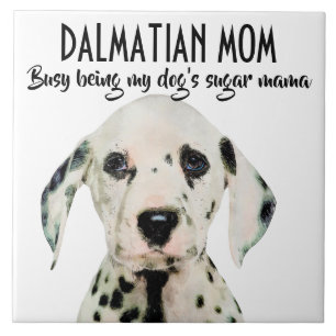 Carreau Dalmatie Maman Carrelage céramique