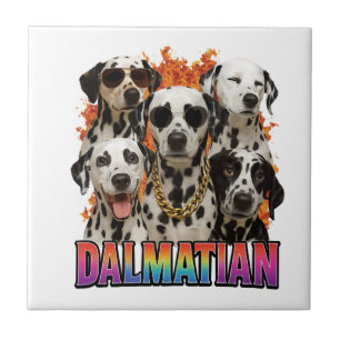 Carreau Dalmatien